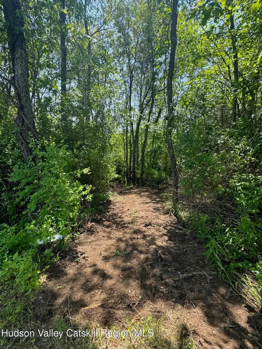 0 Bells Pond, Livingston, NY 12541 - Image #3