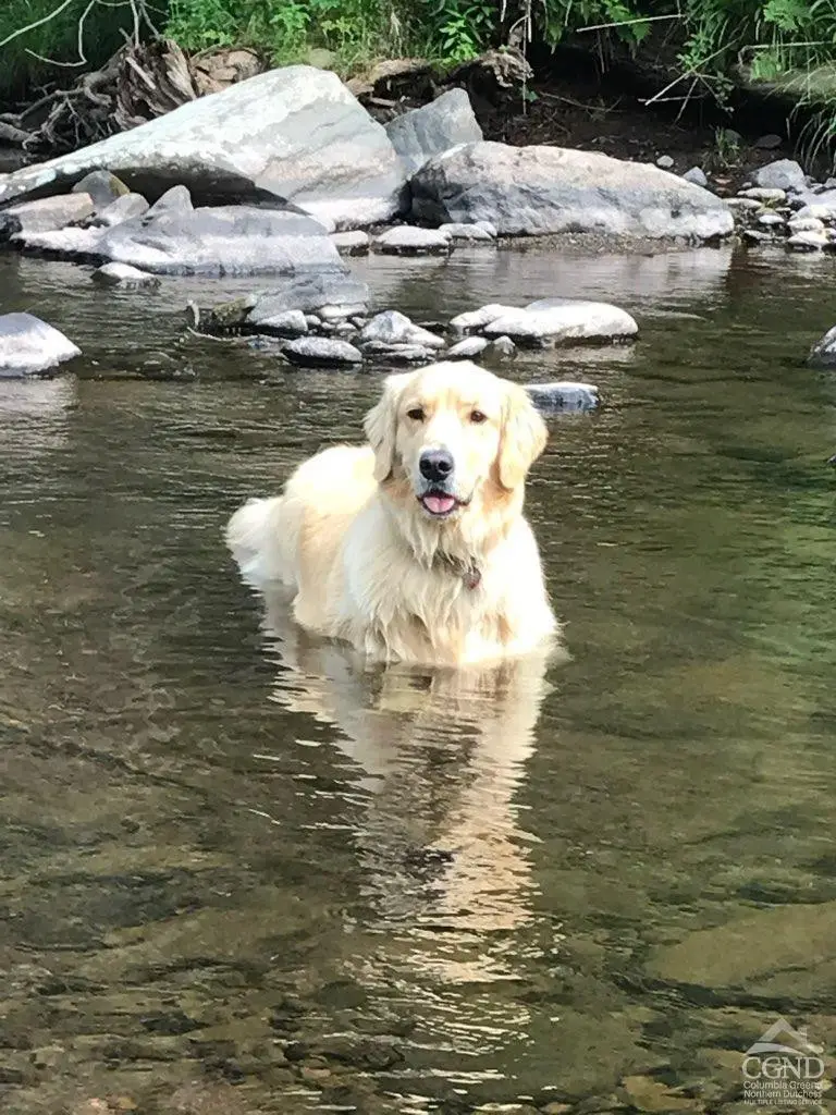 25 Vets Road, Windham, NY 12496 - Image #3