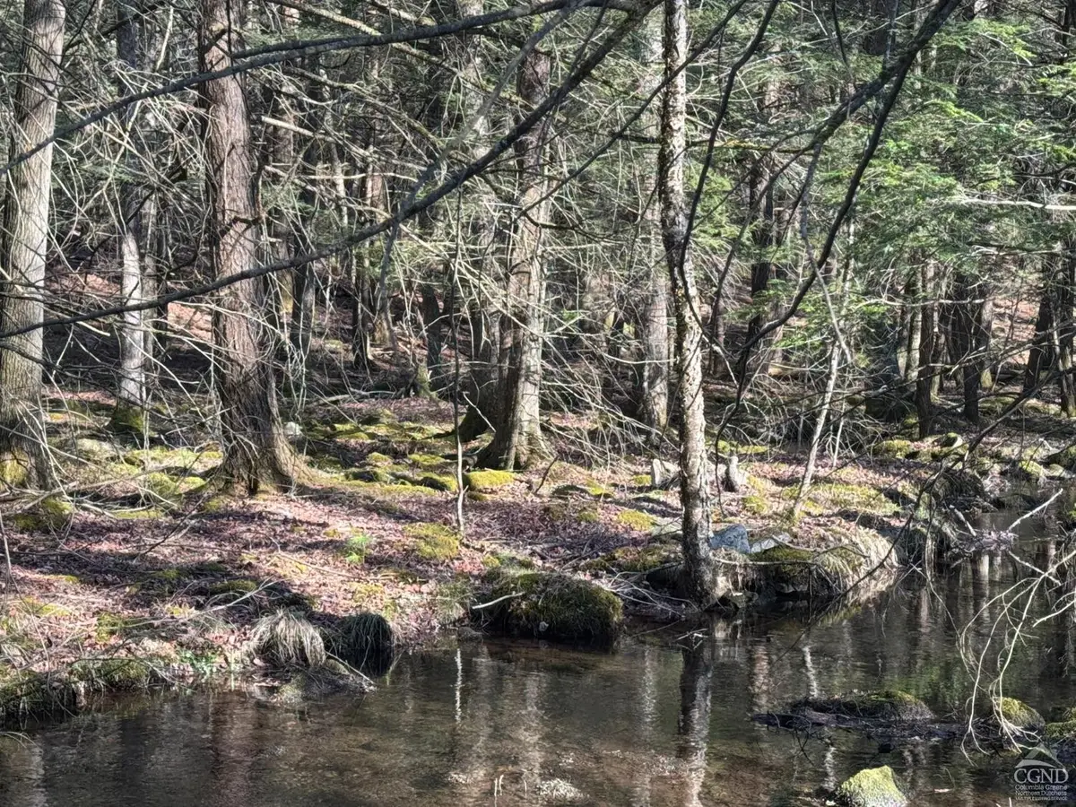 46 Pine Grove Rd, Kerhonkson, NY 12446 - Image #1