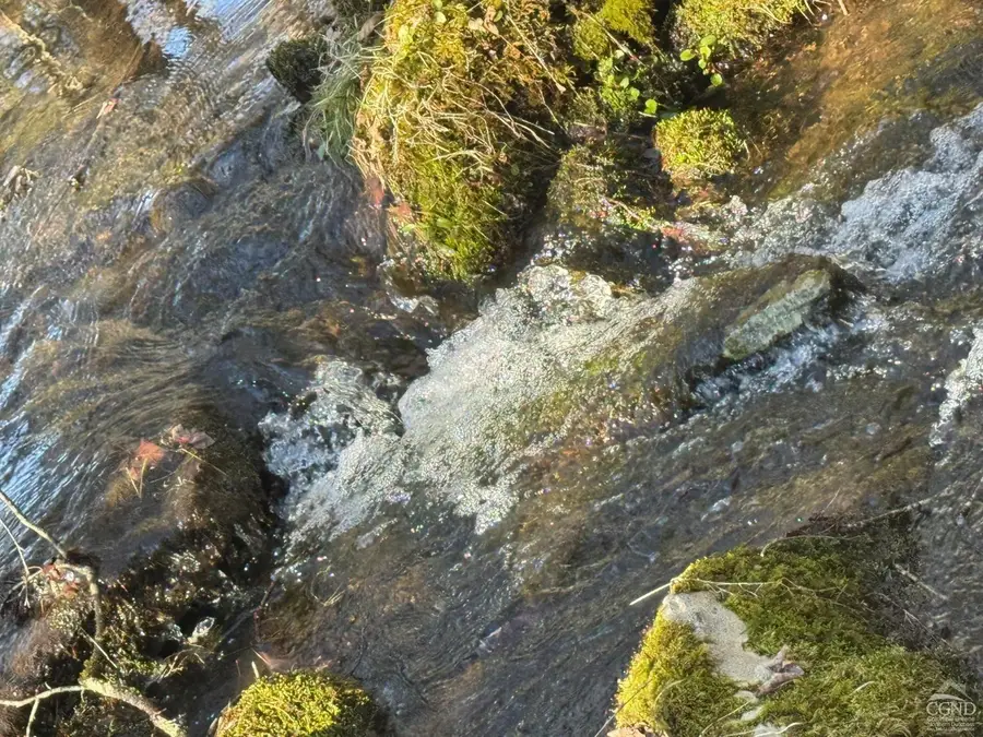 46 Pine Grove Rd, Kerhonkson, NY 12446 - Image #3