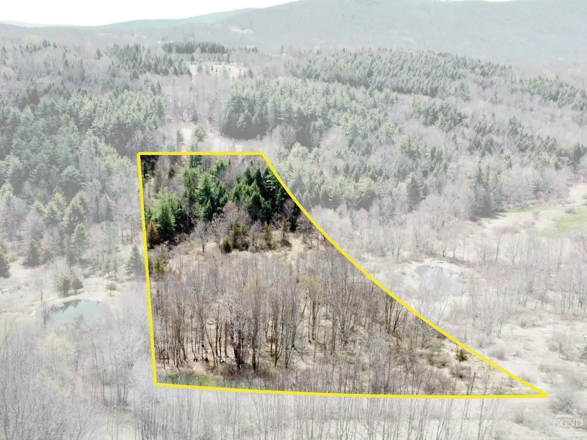 0 Charles Dent, Roxbury, NY 12434 - Image #1