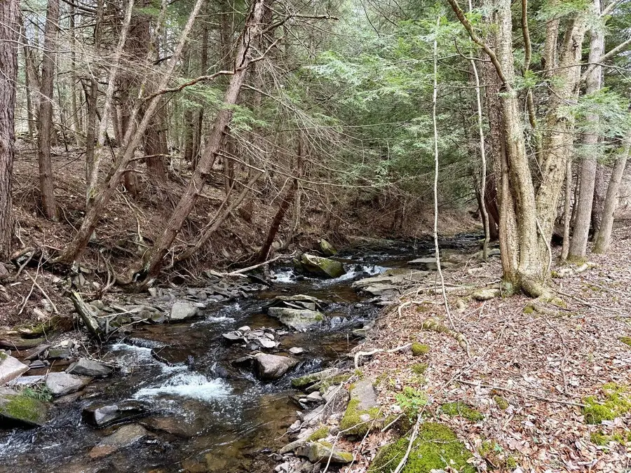 0 Charles Dent, Roxbury, NY 12434 - Image #2