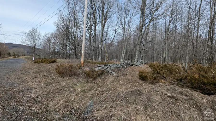 75 Windy Lane, Jewett, NY 12444 - Image #2