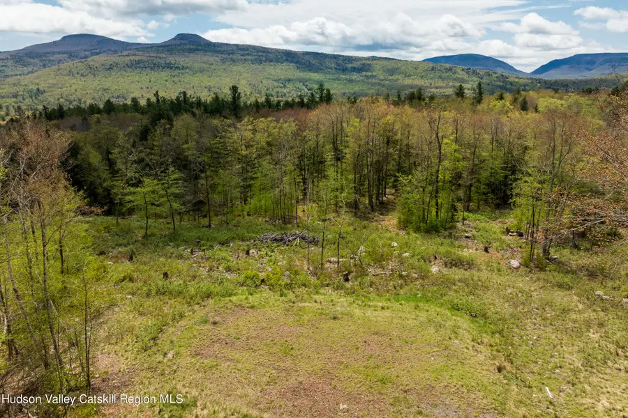 Tbd 1 Legg Road, Hunter, NY 12442 - Image #2