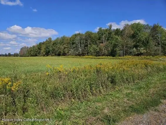 0 County Rd 6, German, NY 13801 - Image #2