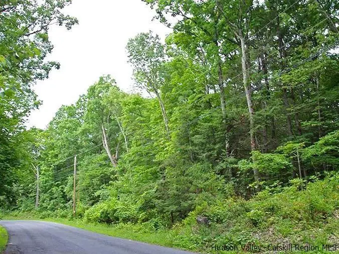 T/B/D Us-209, Wawarsing, NY 12489 - Image #2