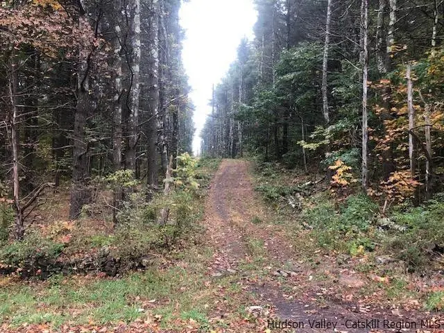 673 Alcove Road, New Baltimore, NY 12124 - Image #1