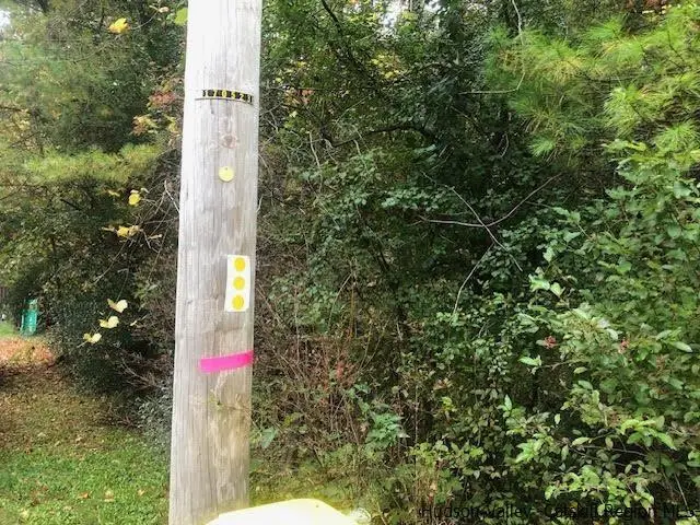 673 Alcove Road, New Baltimore, NY 12124 - Image #3