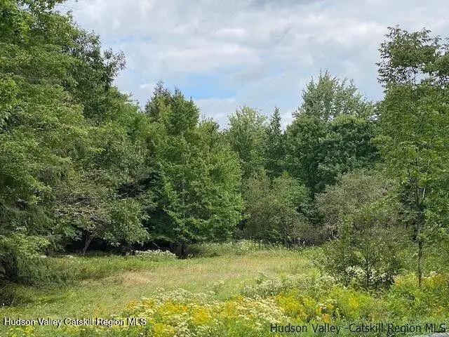 2067 Ny-296, Hunter, NY 12442 - Image #3