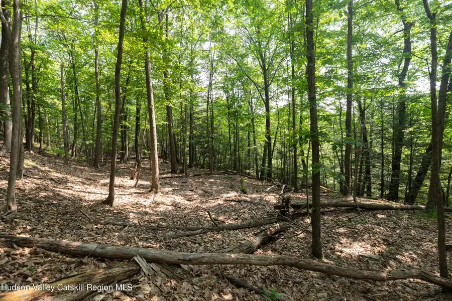 Tbd Mossy Trail, Saugerties, NY 12477 - Image #2