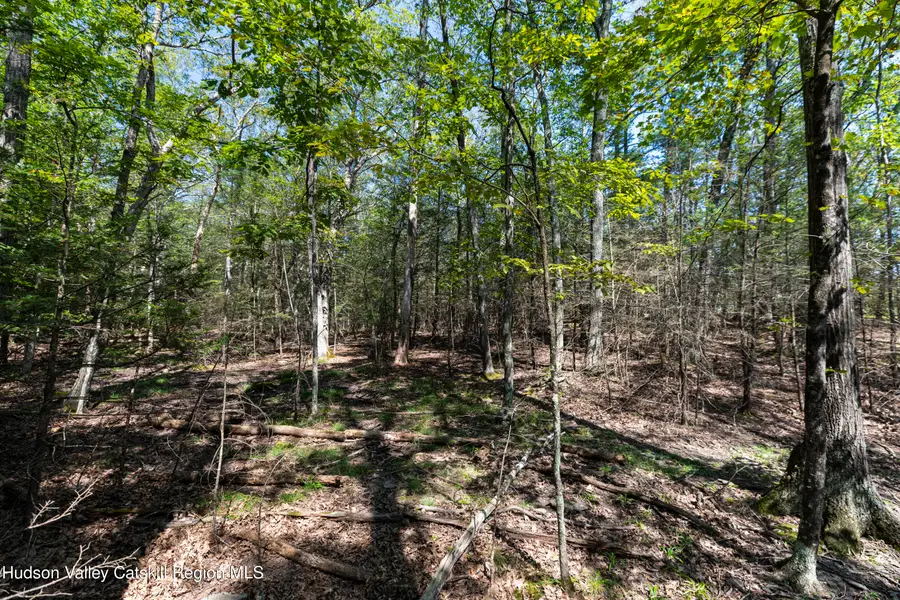 Tbd Mossy Trail, Saugerties, NY 12477 - Image #3