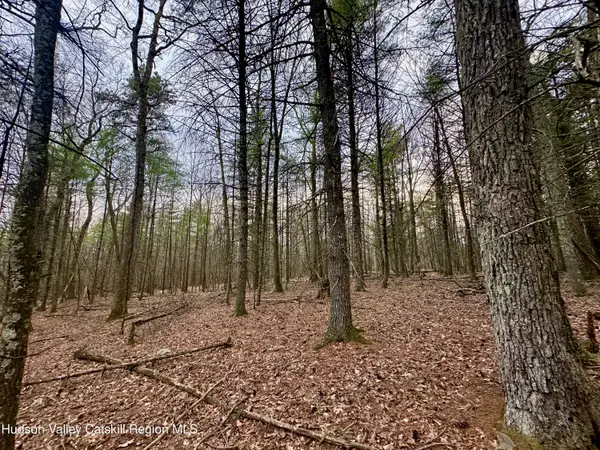 44 Cliff Road, Accord, NY 12404