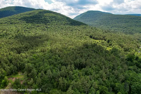 1604 Spruceton Road, West Kill, NY 12492