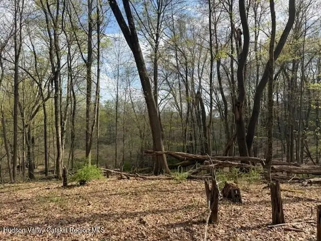 18 Stilba Lane, Stone Ridge, NY 12484 - Image #2