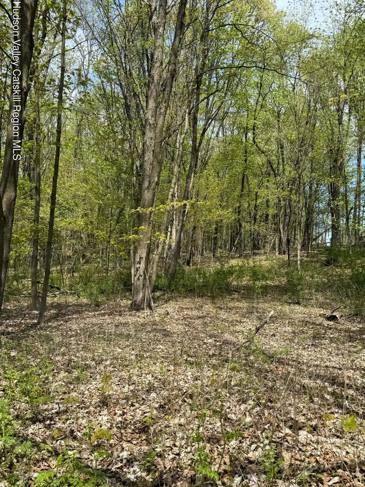 120 Floyd Ackert Road, West Park, NY 12493 - Image #1