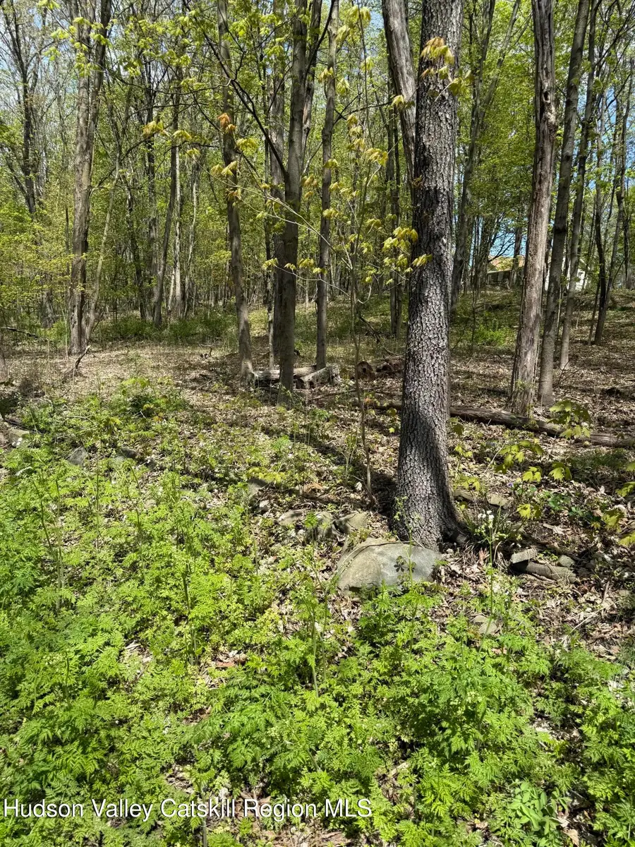 120 Floyd Ackert Road, West Park, NY 12493 - Image #2