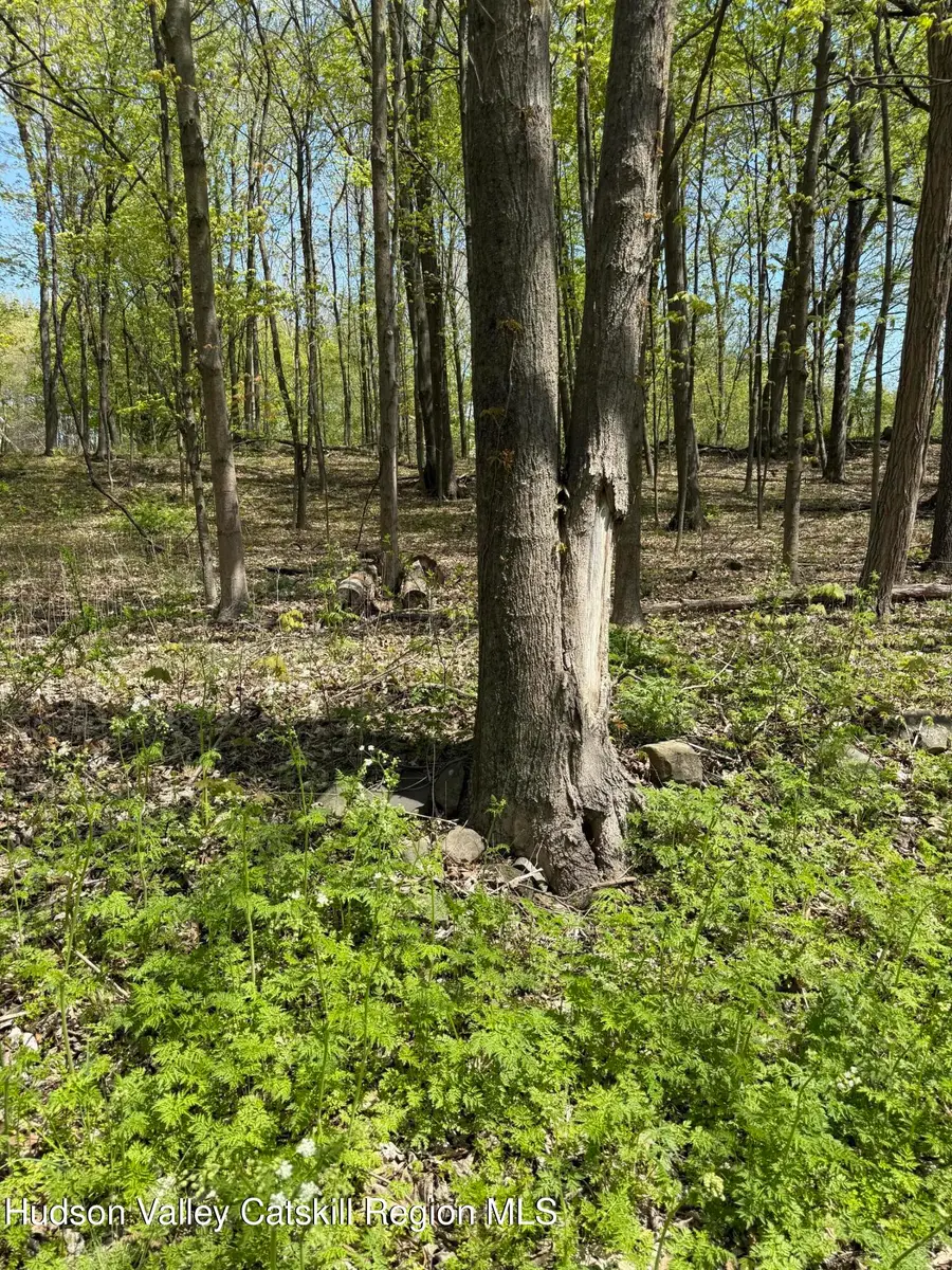 120 Floyd Ackert Road, West Park, NY 12493 - Image #3