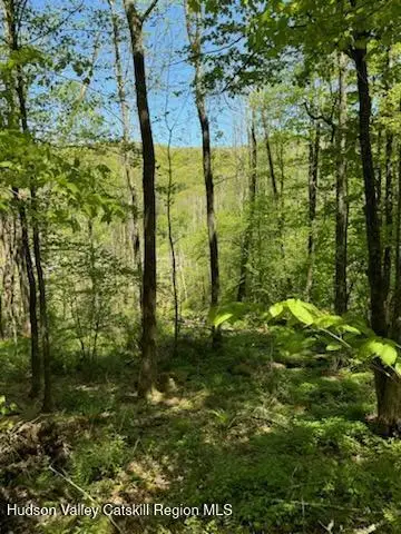 Tbd Ny-28, Big Indian, NY 12410 - Image #3