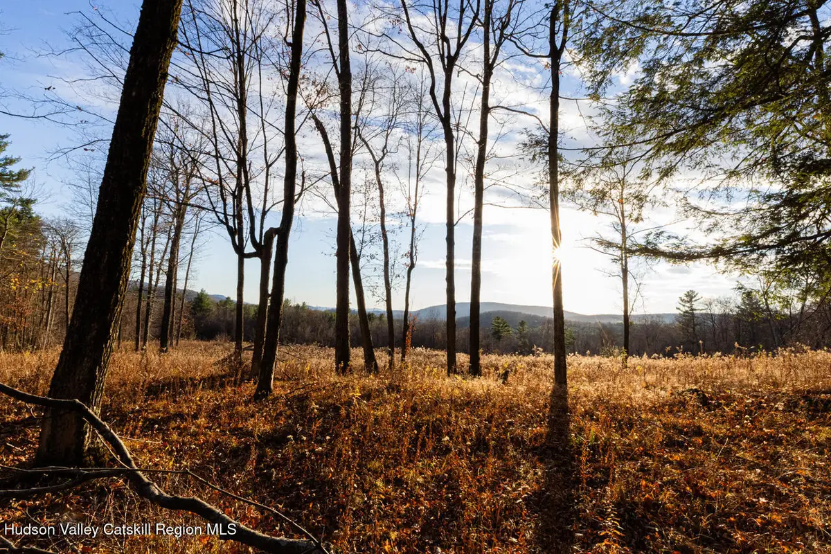 0 Mitchell Street, Hillsdale, NY 12529 - Image #1