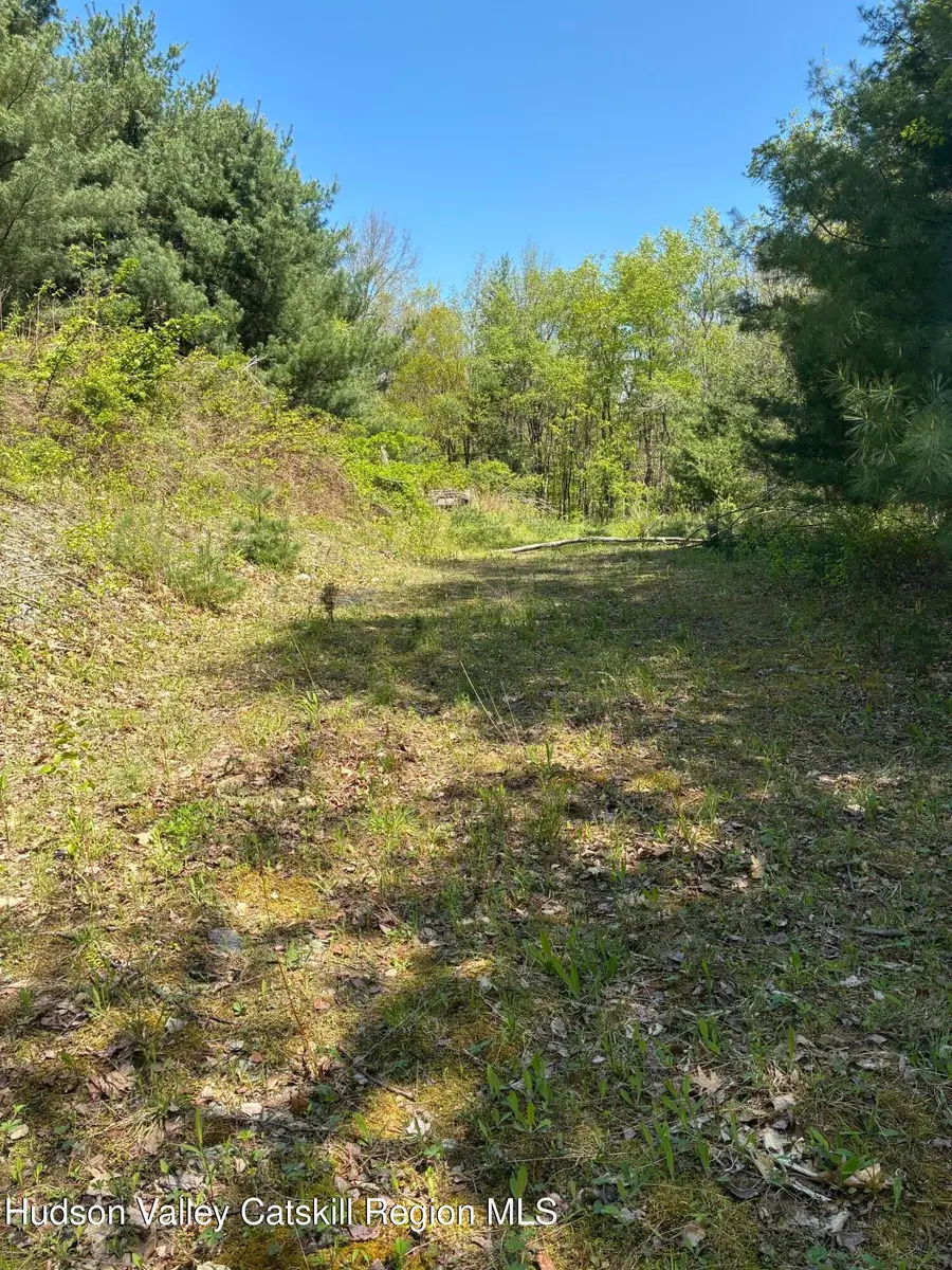 0 County Rte 5 & I90, Canaan, NY 12029 - Image #2