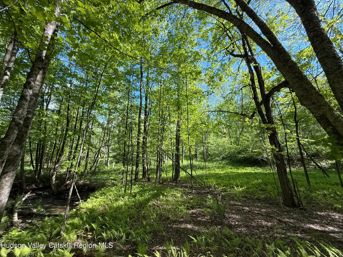 383 Ferndale Loomis Road, Liberty, NY 12754 - Image #1