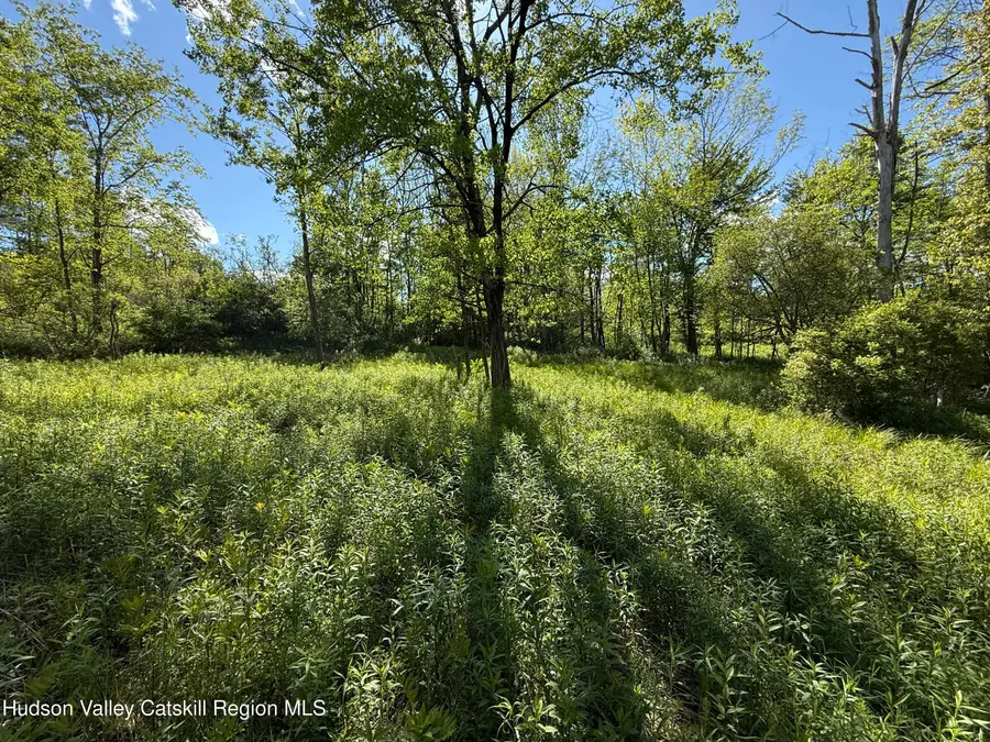 383 Ferndale Loomis Road, Liberty, NY 12754 - Image #3