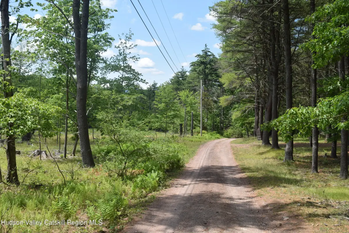 Tbd Anthony, Cairo, NY 12413 - Image #1