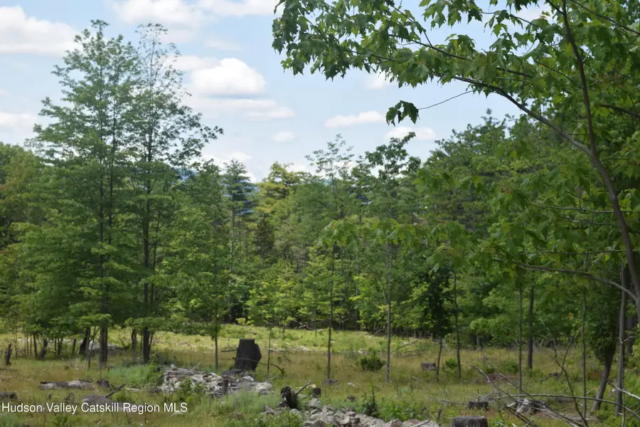 Tbd Anthony, Cairo, NY 12413 - Image #2