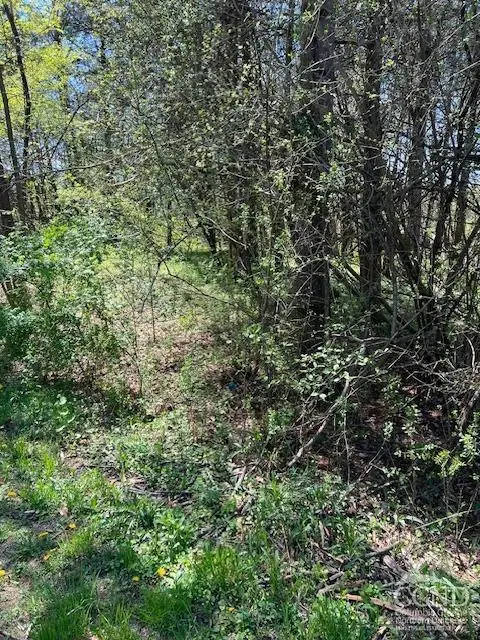 4 Catskill Court, Athens, NY 12015 - Image #2