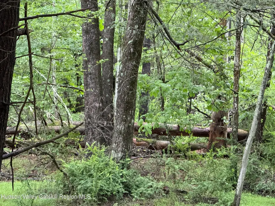 00 Whites Lane, Woodstock, NY 12498 - Image #2