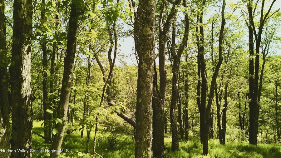 0 Benton Hollow Road, Liberty, NY 12754 - Image #2