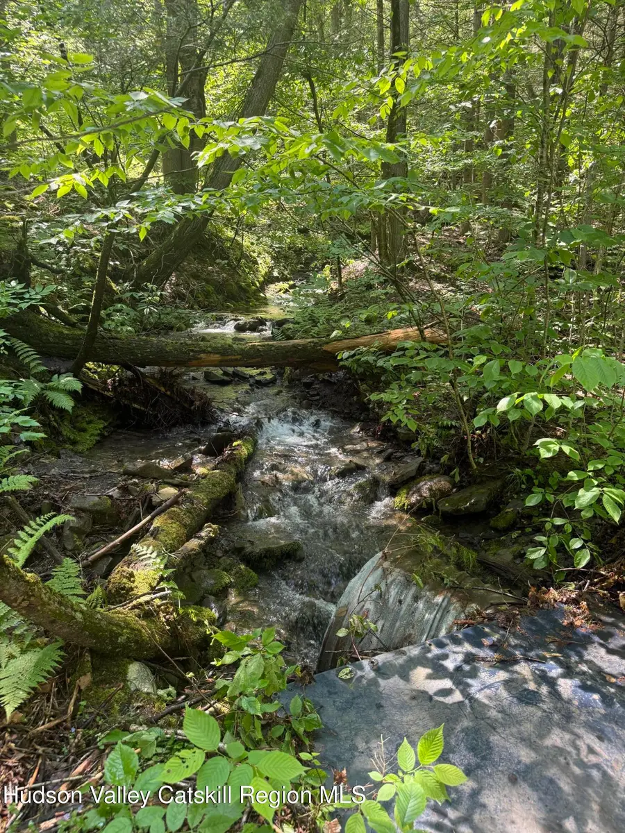 169 Tae Kwon Road, Blenheim, NY 12093 - Image #2