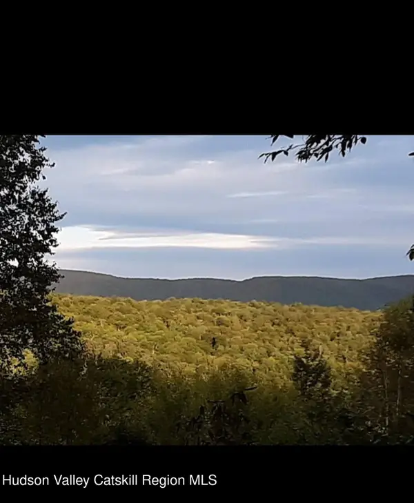 0 Black River Road, Stephentown, NY 12169