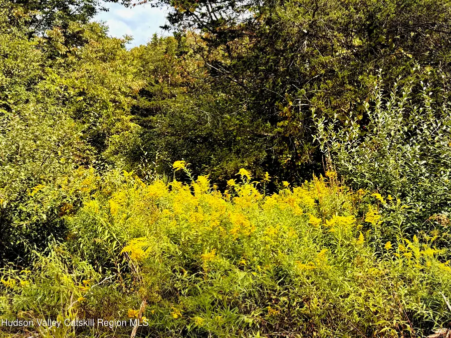 Lot 6 Stickles Road, Hudson, NY 12534 - #3