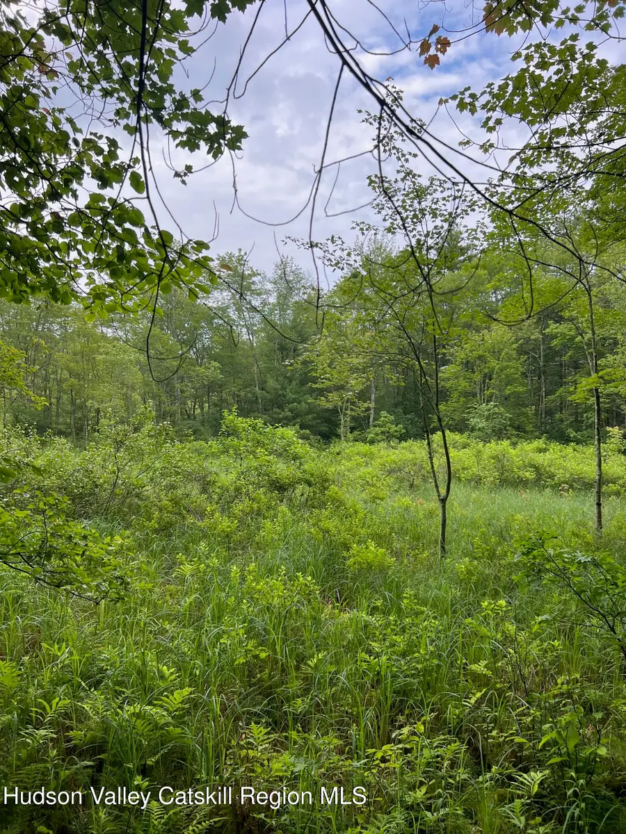 0 Route 32, Catskill Town, NY 12405 - Image #2