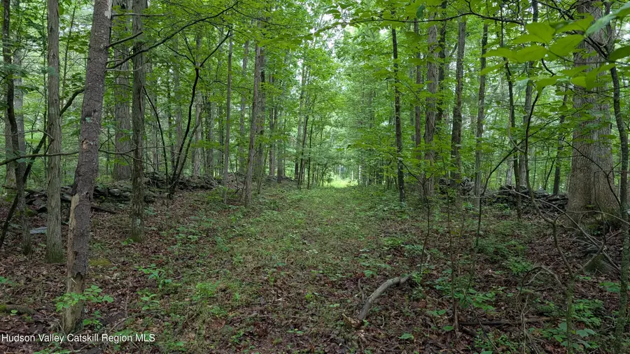 0 Route 32, Catskill Town, NY 12405 - Image #3