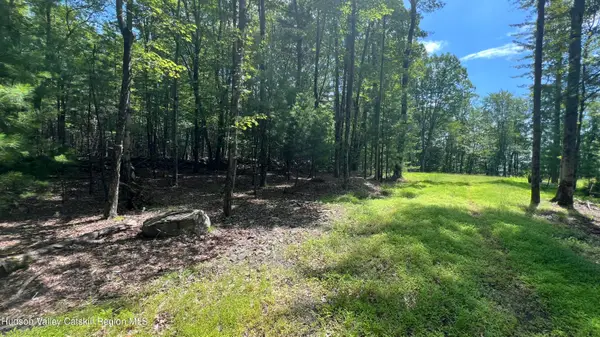 10 Rockaway Road, Accord, NY 12404