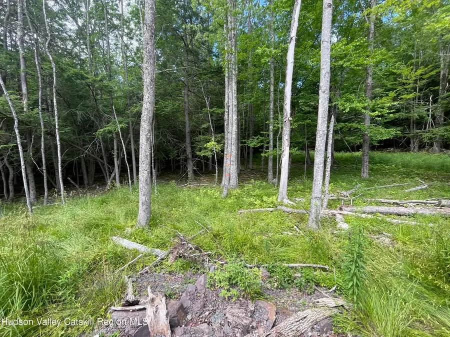 Tbd Boulder Brook Lot B14, Windham, NY 12496 - Image #3