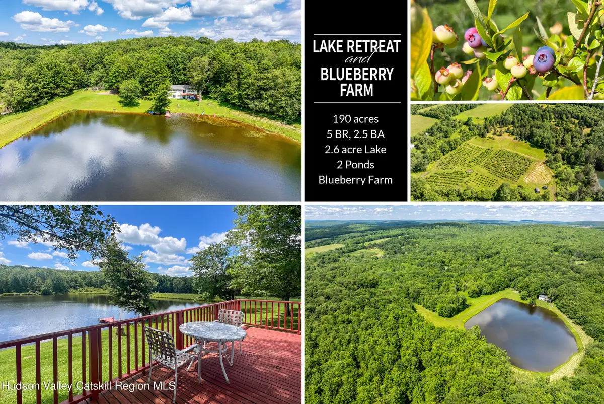 361 Warren Road, Meredith, NY 13753 - Image #1