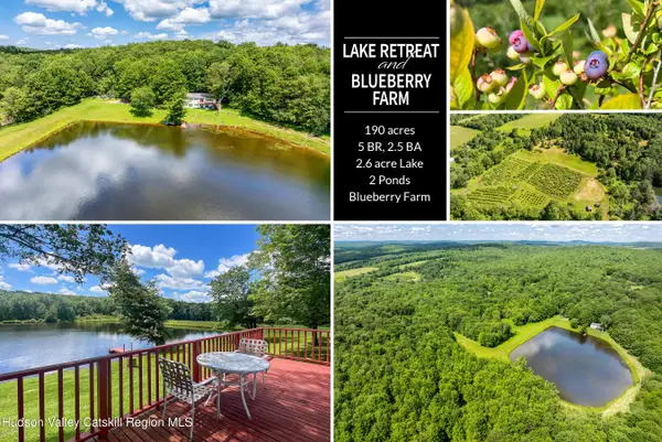 361 Warren Road, Meredith, NY 13753