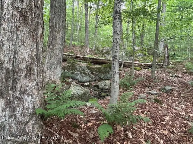 Tbd Frost Valley Rd, Claryville, NY 12725 - Image #2