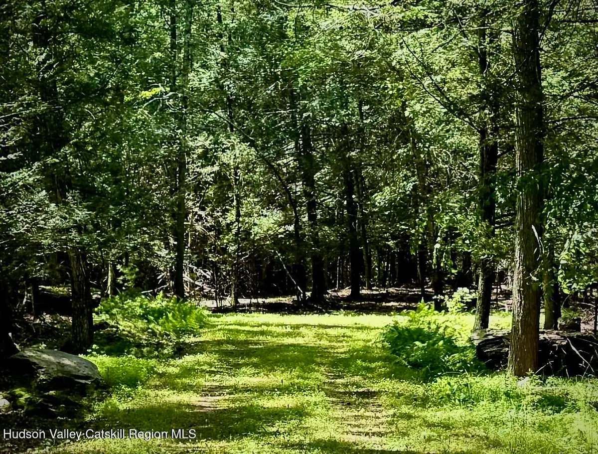 41 Mamoud Hills Road, Kingston, NY 12401 - Image #1