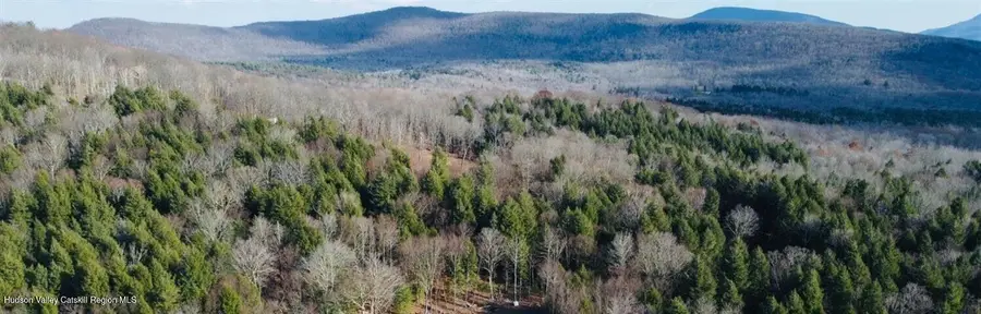 0 Larsen Dr, Windham, NY 12496 - Image #3