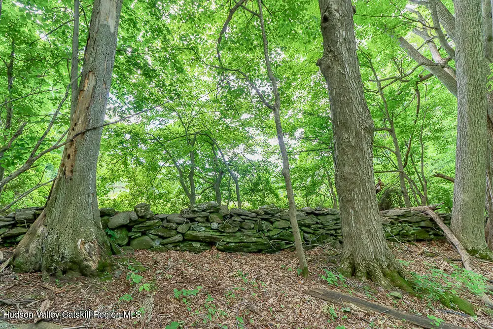 0 Chair Factory Road, New Lebanon, NY 12125 - Image #1