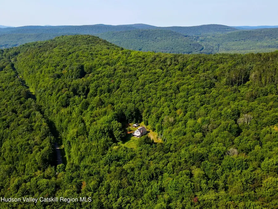 425 Woodland Hills Road, Andes, NY 13731 - Image #2