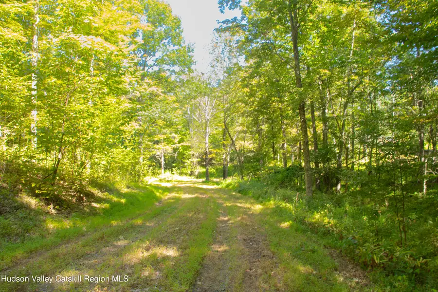 36 Bacon Dr., Elizaville, NY 12523 - Image #2