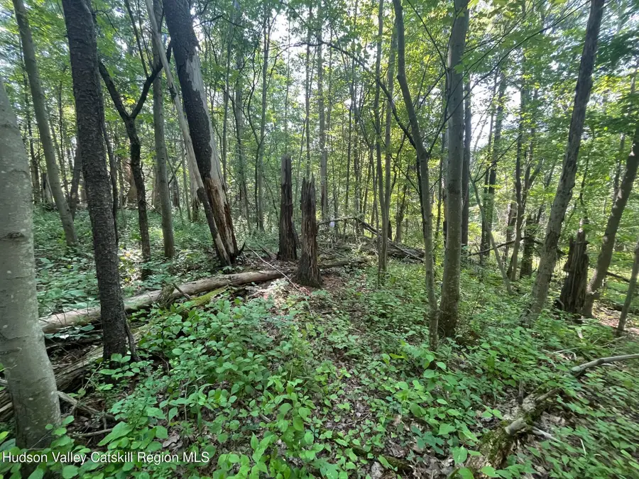 48 Tommy Trail, Athens, NY 12015 - Image #3