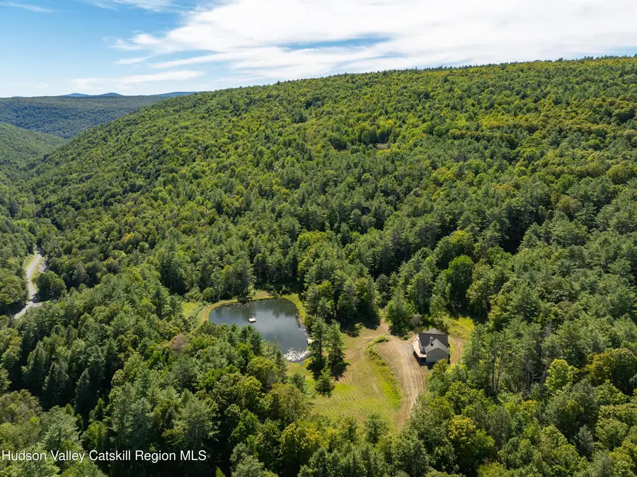 1324 Hauverville Road, Middleburgh, NY 12122 - Image #2