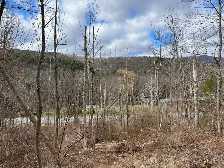 0 Route 23a Road, Lexington, NY 12452 - Image #3