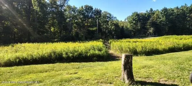 786 Route 41, Cairo, NY 12413 - Image #3